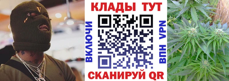 Псилоцибиновые грибы Тольятти