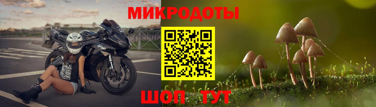 Тольятти  Псилоцибиновые грибы Cubensis  Вход с VPN 